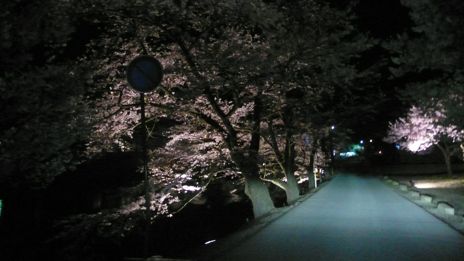 20080415-8.jpg