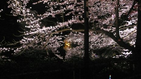 20080416-13.jpg