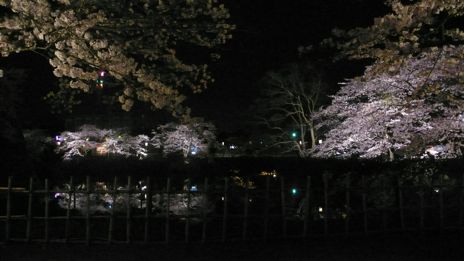 20080416-16.jpg