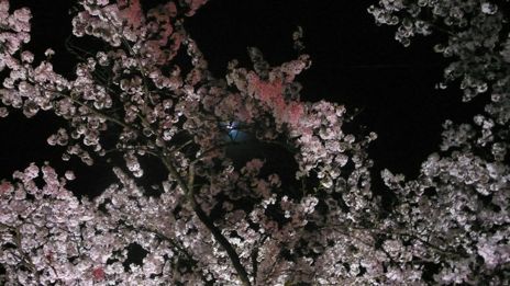 20080416-18.jpg