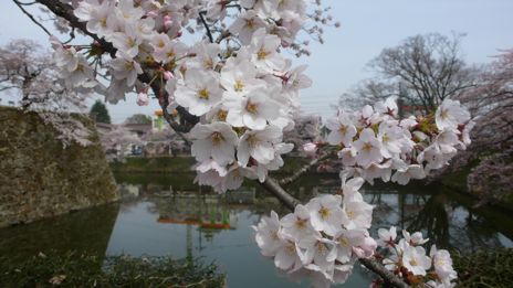 20080416-2.jpg