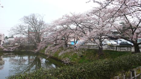 20080416-3.jpg
