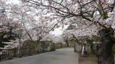 20080416-4.jpg