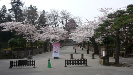 20080416-5.jpg