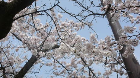 20080416- 6.jpg