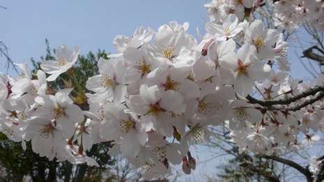 20080416-7.jpg