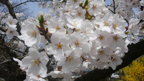 20080416-8.jpg