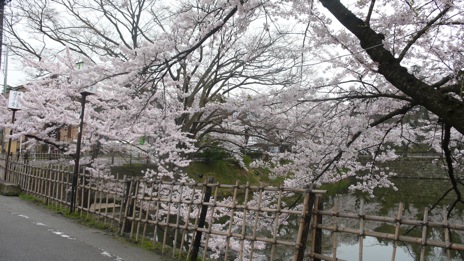 20080417-1.jpg
