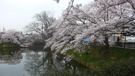 20080417-2.jpg