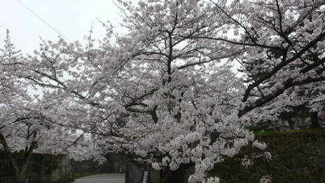 20080417- 3.jpg