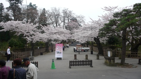 20080417-6.jpg