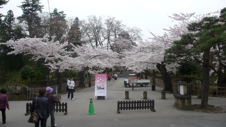20080417-7.jpg