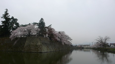 20080417-8.jpg