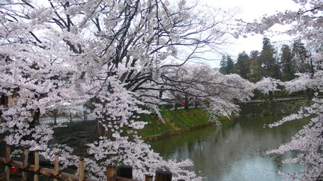 20080418-2.jpg