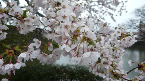 20080418-3.jpg