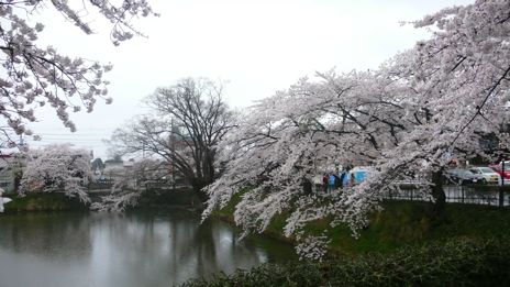 20080418-4.jpg