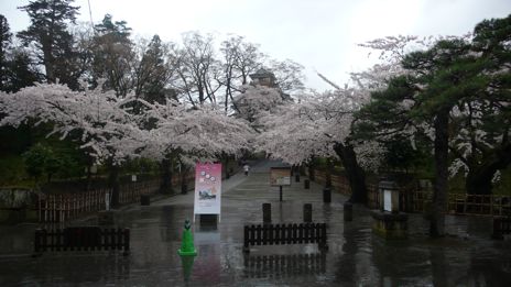 20080418-5.jpg