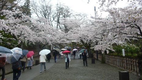20080419-10.jpg