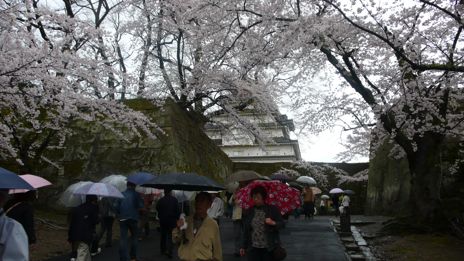 20080419-12.jpg