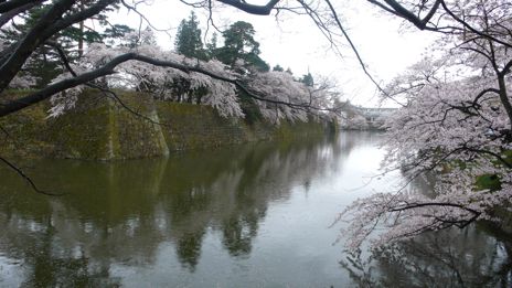 20080419-2.jpg