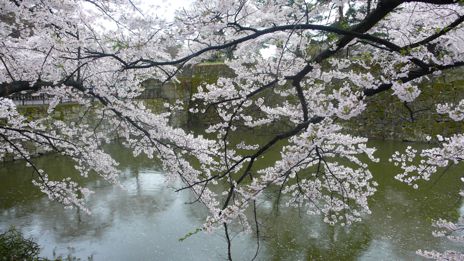 20080419-3.jpg