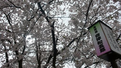 20080419-4.jpg