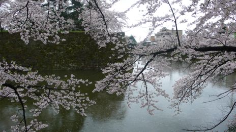 20080419-5.jpg