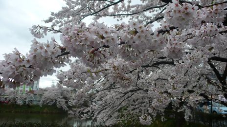 20080419-6.jpg