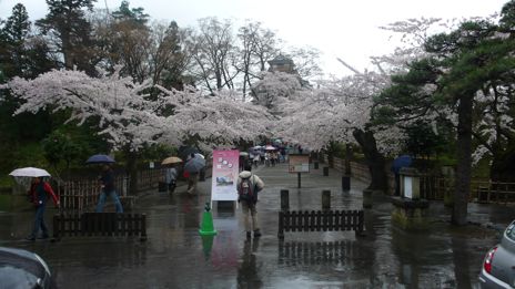 20080419-8.jpg