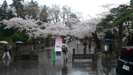 20080419-9.jpg