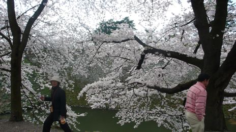 20080420-12.jpg