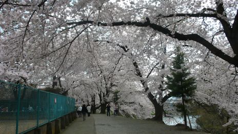 20080420-13.jpg