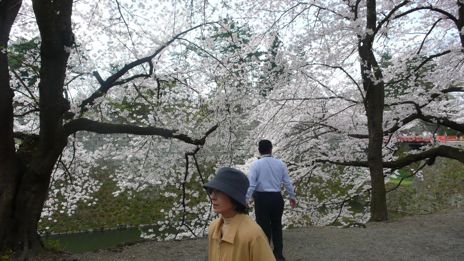 20080420-14.jpg