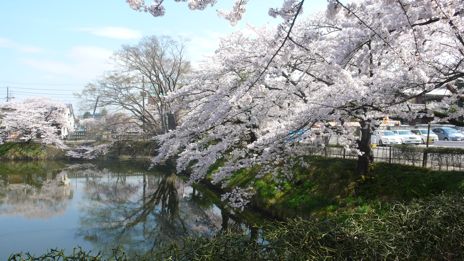 20080421-1.jpg