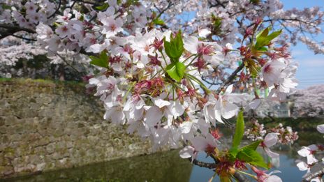 20080421-2.jpg