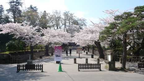 20080421-3.jpg