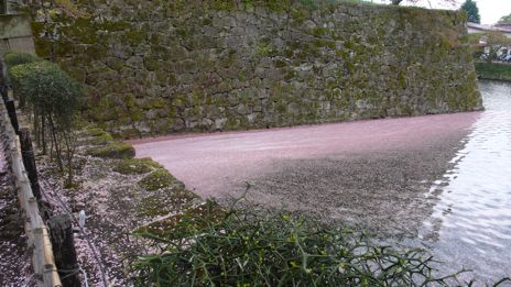20080425-2.jpg