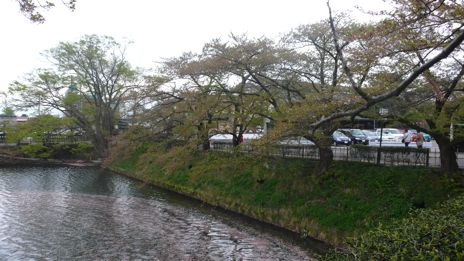 20080425-3.jpg
