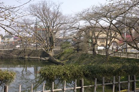 20090406-2.jpg