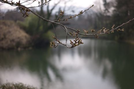 20090408-1.jpg