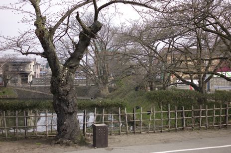 20090408-2.jpg