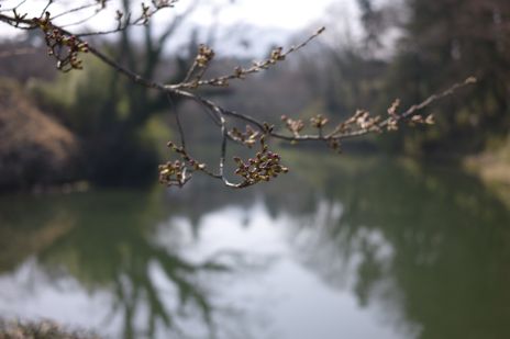 20090409-2.jpg