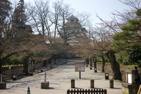 20090409-3.jpg