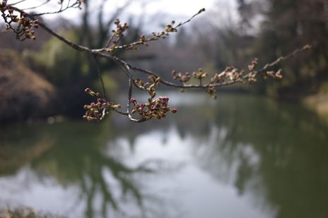 20090410-1.jpg