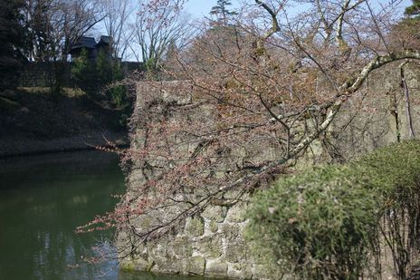 20090410-2.jpg