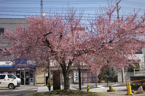 20090410-4.jpg