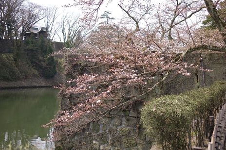 20090411-09.jpg