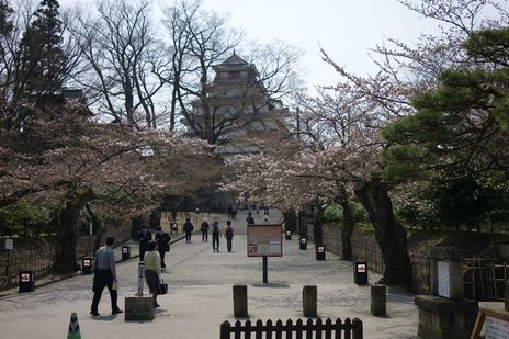 20090411-10.jpg