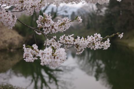 20090414-6.jpg