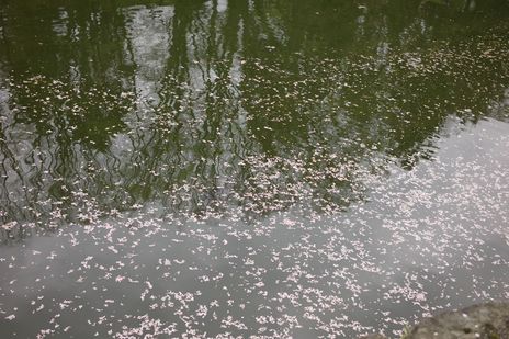 20090422-2.jpg